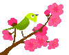 ݂܂sY@yahoouO