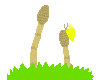݂܂sY@goouO